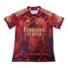 Virallinen Fanipaita ARSENAL 2023-24 Special Edition - Miesten